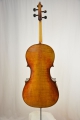 Violoncello 